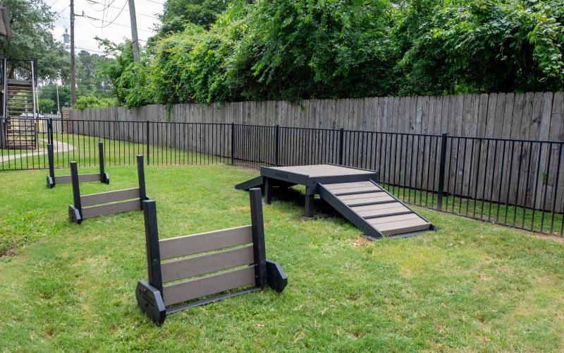 a dog park